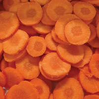 Thumbnail for Carrot - Rondels (Sliced)