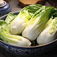 Thumbnail for Chinese Cabbage