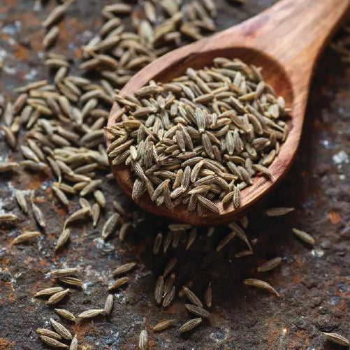 Cumin(Jeera) Seeds