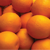 Thumbnail for Malta Orange
