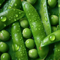 Thumbnail for Green Peas