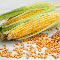 Thumbnail for Sweet Corn
