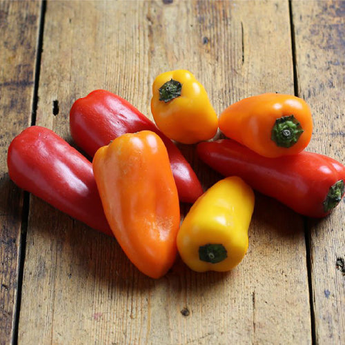 Sweet Snacking Peppers
