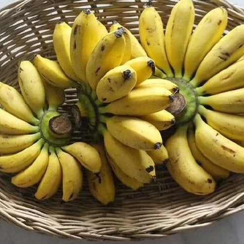Yelakki Banana