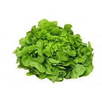 Thumbnail for Green Oak Lettuce